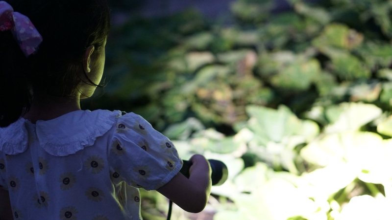 纳拓户外强光手电价格,纳拓户外强光手电筒耐用程度