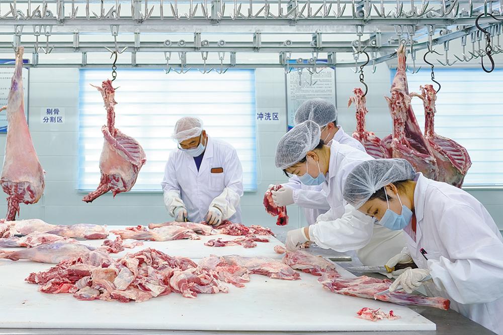 三江集团投资公司,三江集团产品