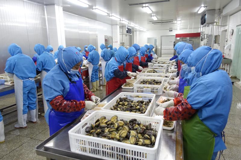 1314赋能,莆田鲍鱼产品出口检测合格率达100%