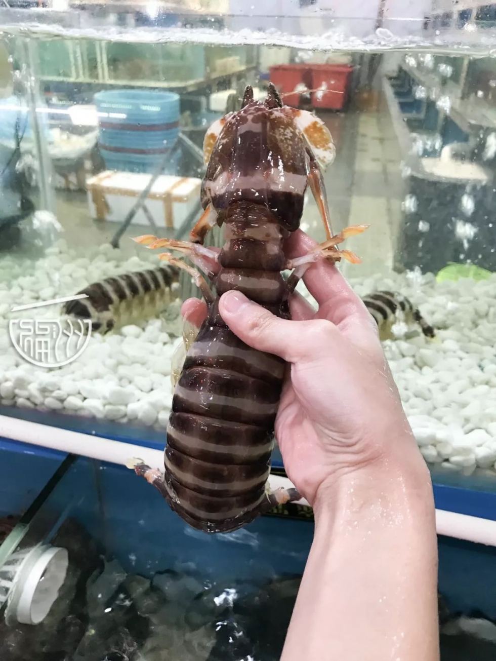 福州哪里买新鲜又便宜的海鲜,福州海鲜哪里买最便宜