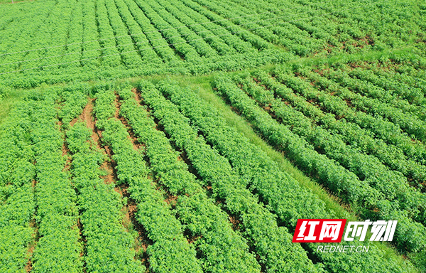 常宁市保护环境,常宁保护生态环境