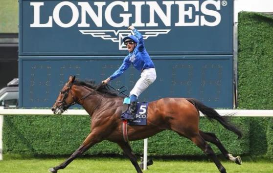 中国各地马匹排名,三马摩托车排行榜