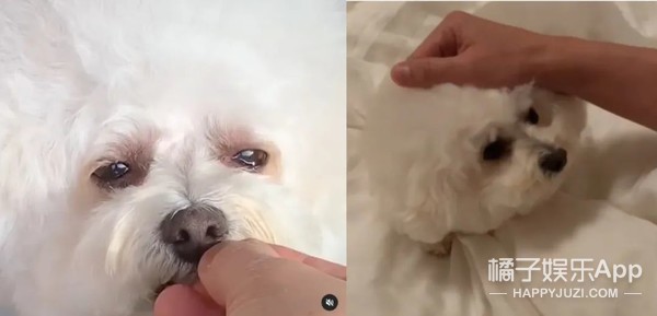 赵文卓住的豪宅,赵文卓晒出自己的豪宅