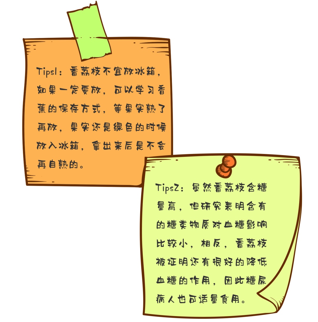 进口水果小百科系列,进口水果知识书