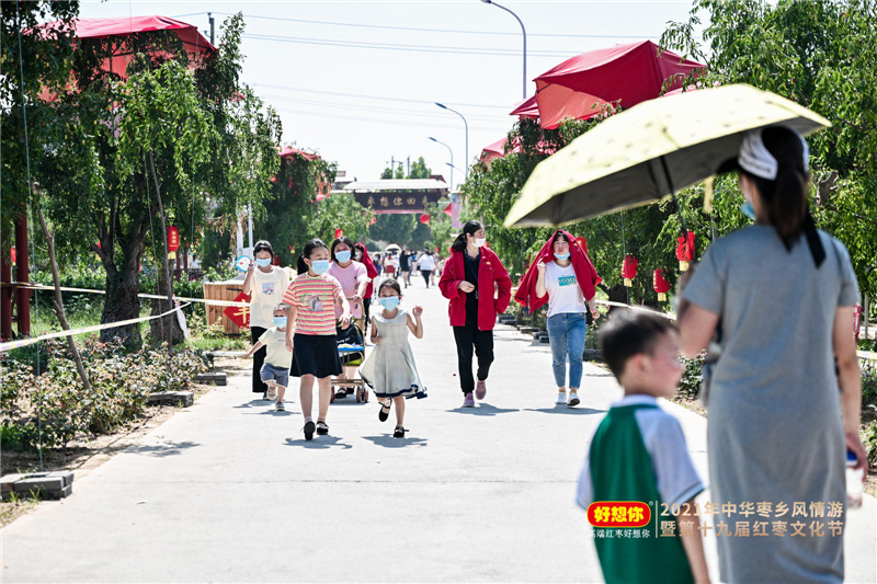 红枣的未来发展趋势,红枣产业的数字化升级