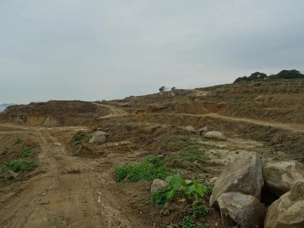 江门下川岛酒店,江门台山下川岛酒店