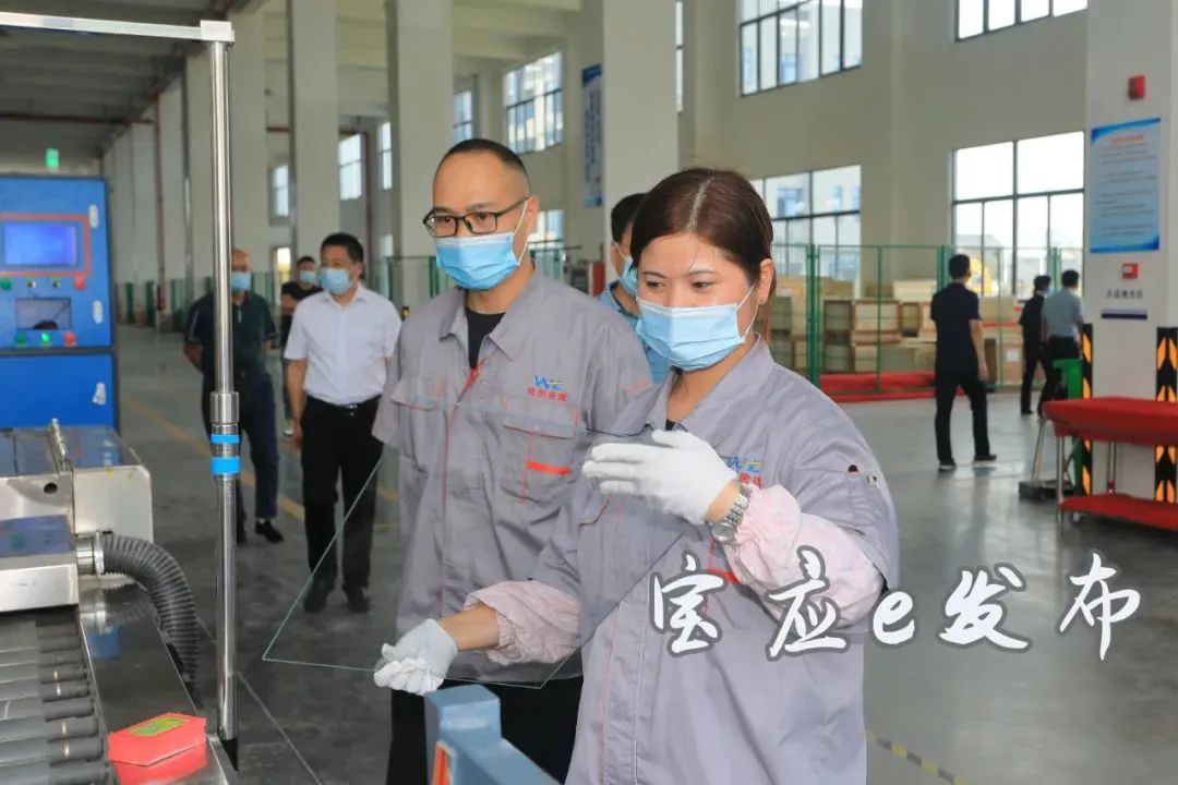 宝应工业项目2022,宝应重点产业项目