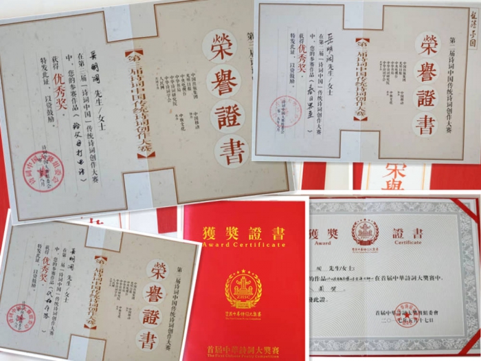 岳明阔讲诗词创作,岳明阔简介