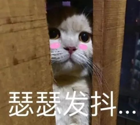 小心有蛇出没济南消防抓蛇解民忧,小心蛇