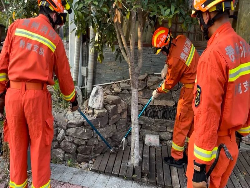 小心有蛇出没济南消防抓蛇解民忧,小心蛇
