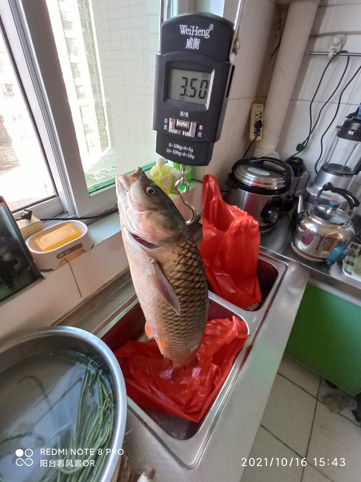 美食不但要能吃还要能做,使用电饭锅怎样做酸菜鱼