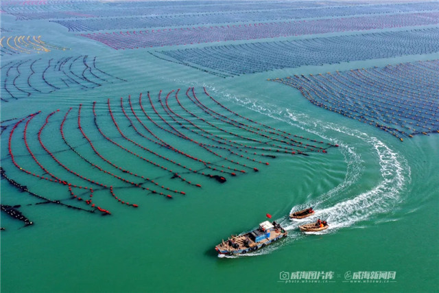 威海的海究竟有多美,威海的海到底有多美