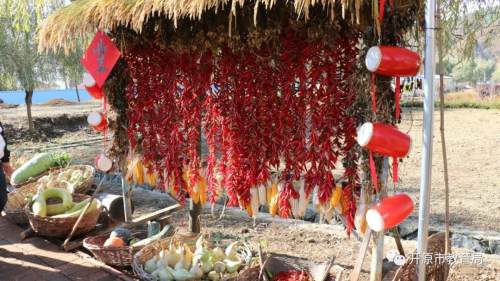 劳动教育课程构建与实施,劳动教育课程建设与实施