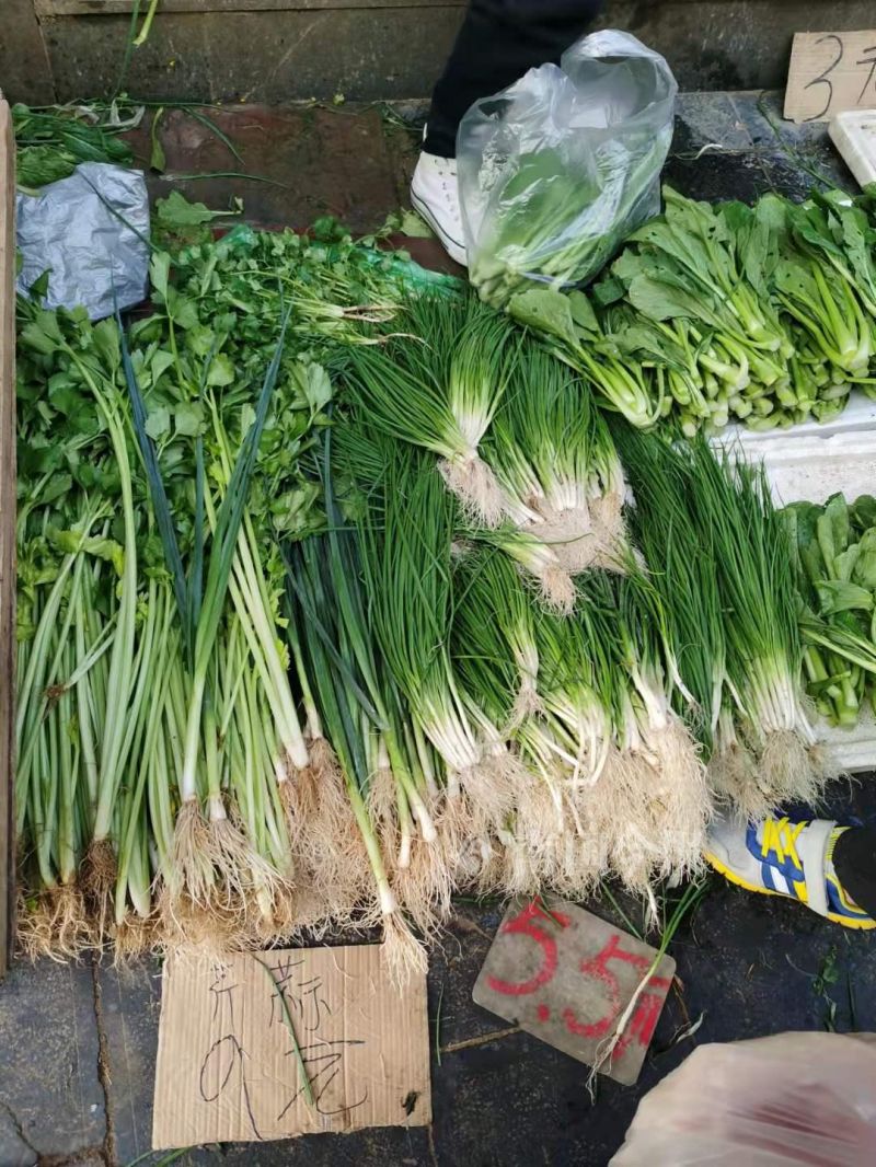 柳州现在什么青菜便宜,柳州青菜贵