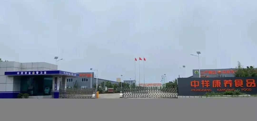 商机|食品厂转让;求彩色汤圆、速冻素菜;供野菜水饺、水晶馄饨