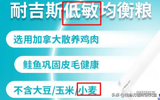 耐吉斯猫粮出现的问题,耐吉斯猫粮比利时版为什么没有了