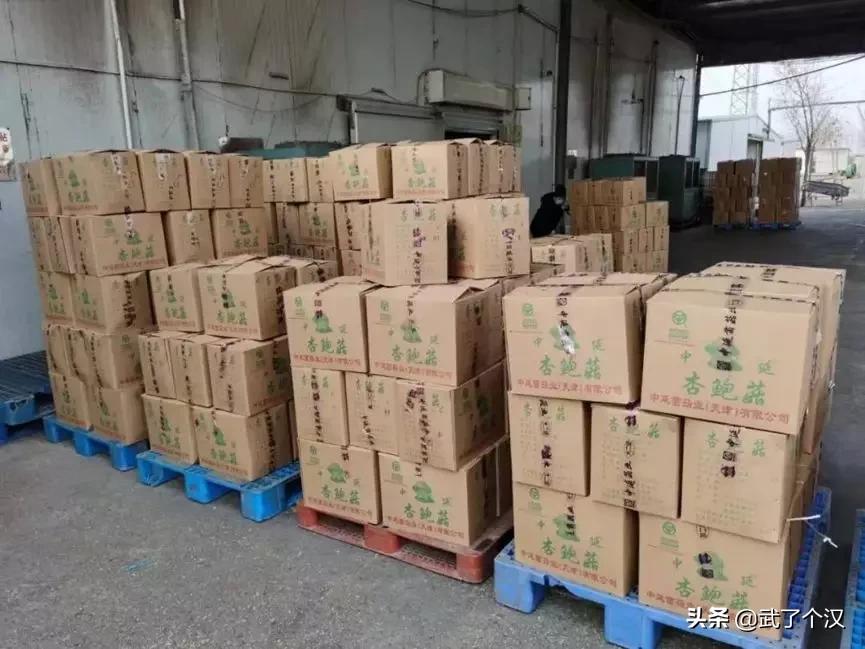 现在的天津静海,天津骄傲的大静海