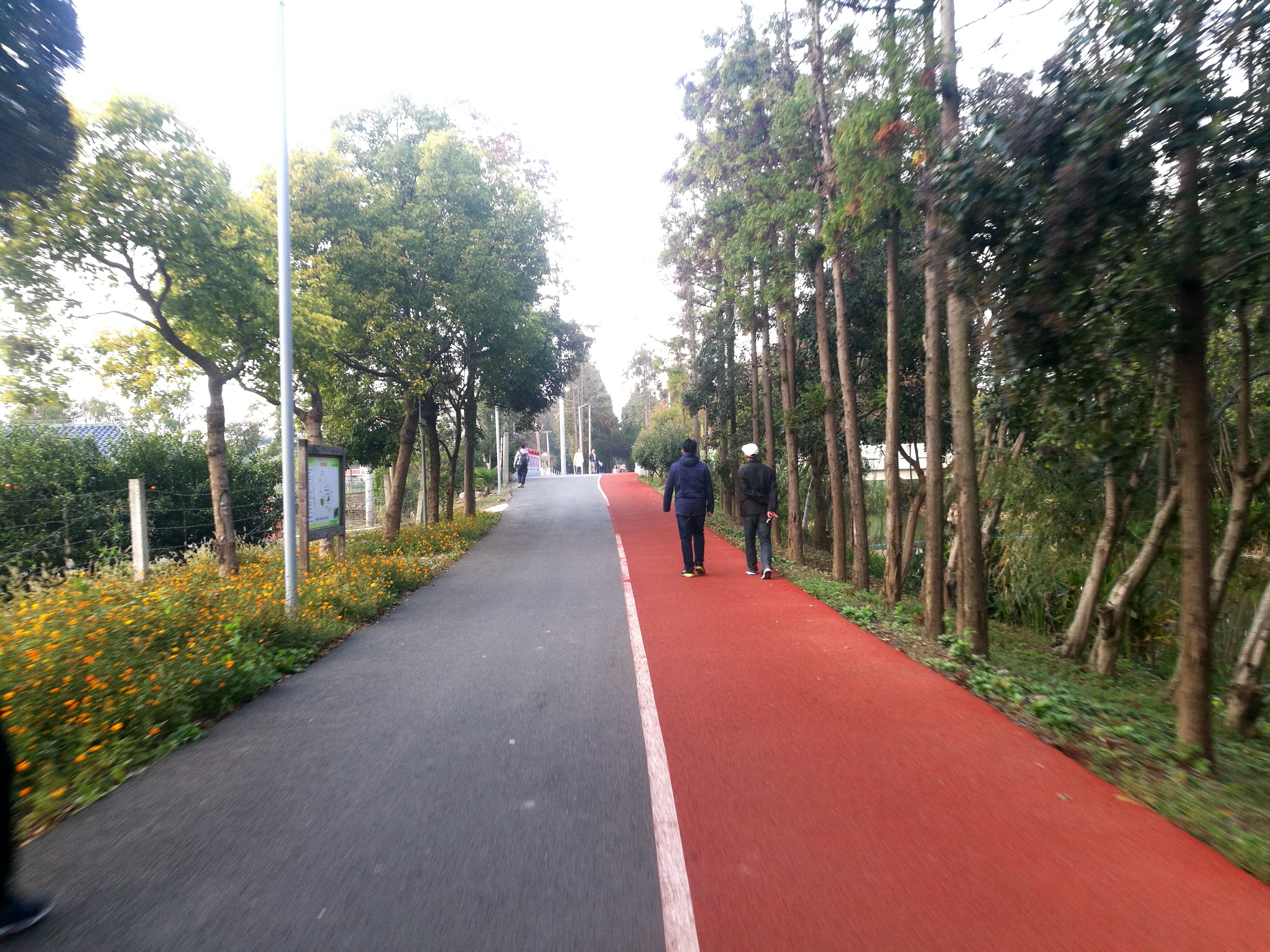 上海崇明岛郊野公园扩建工作,崇明长兴岛公园规划