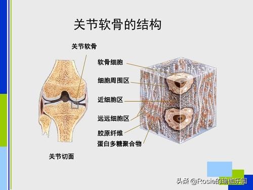 跑步会伤膝盖吗如何保护膝关节,穿高跟鞋经常久站怎么缓解