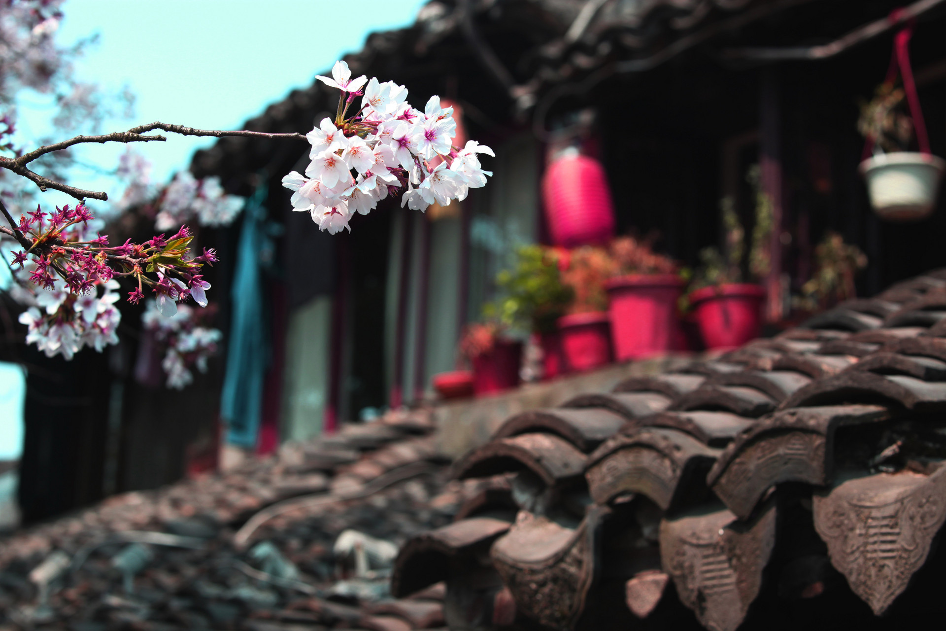 心中若有桃花源相同的诗句,心有桃花源的诗句