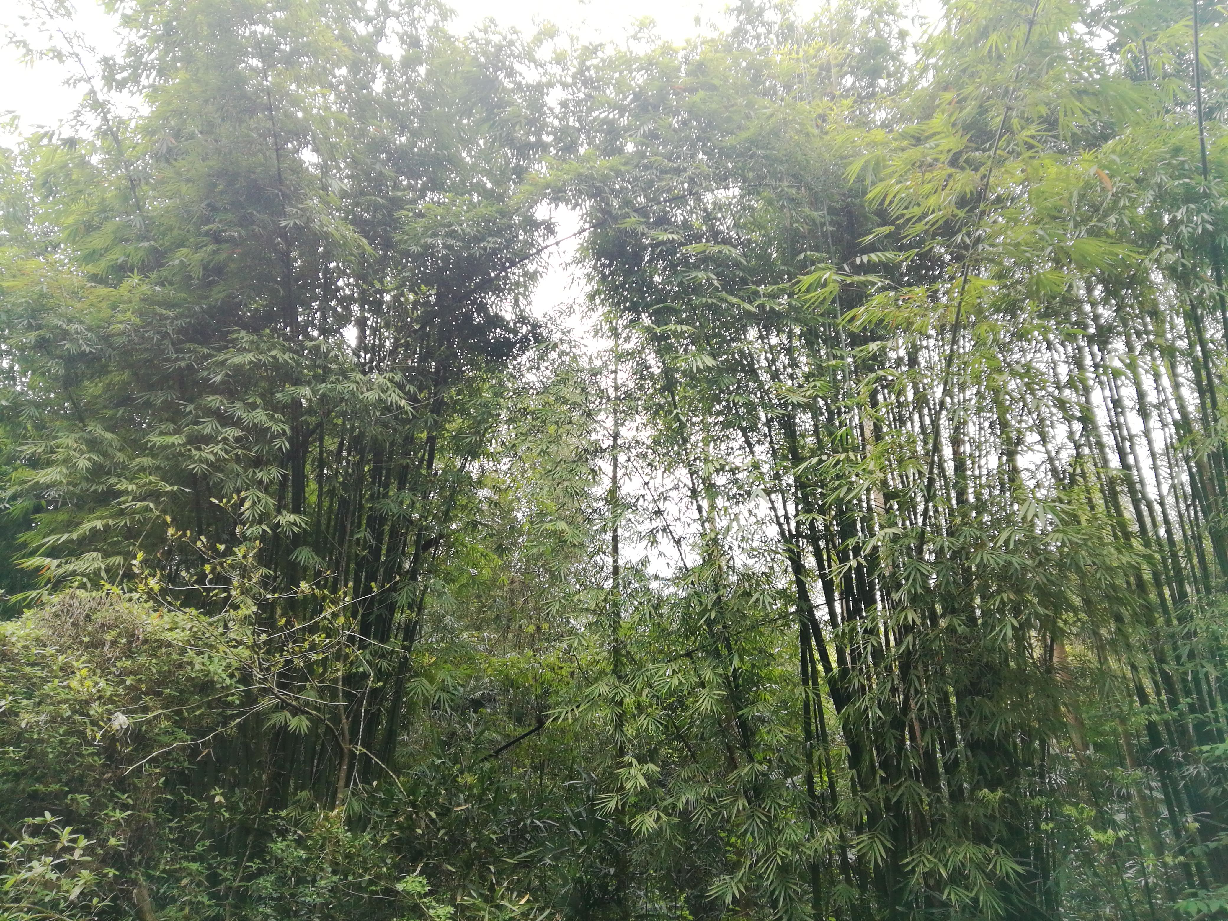 羊毛*党**策略—信用卡篇