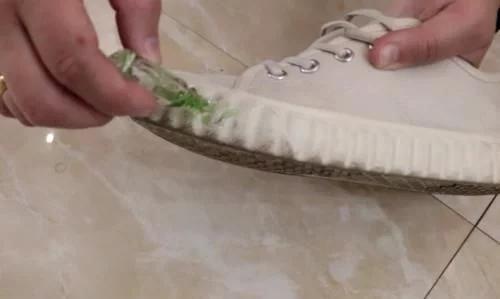 风油精的10大妙用全部,风油精的隐藏用法测评