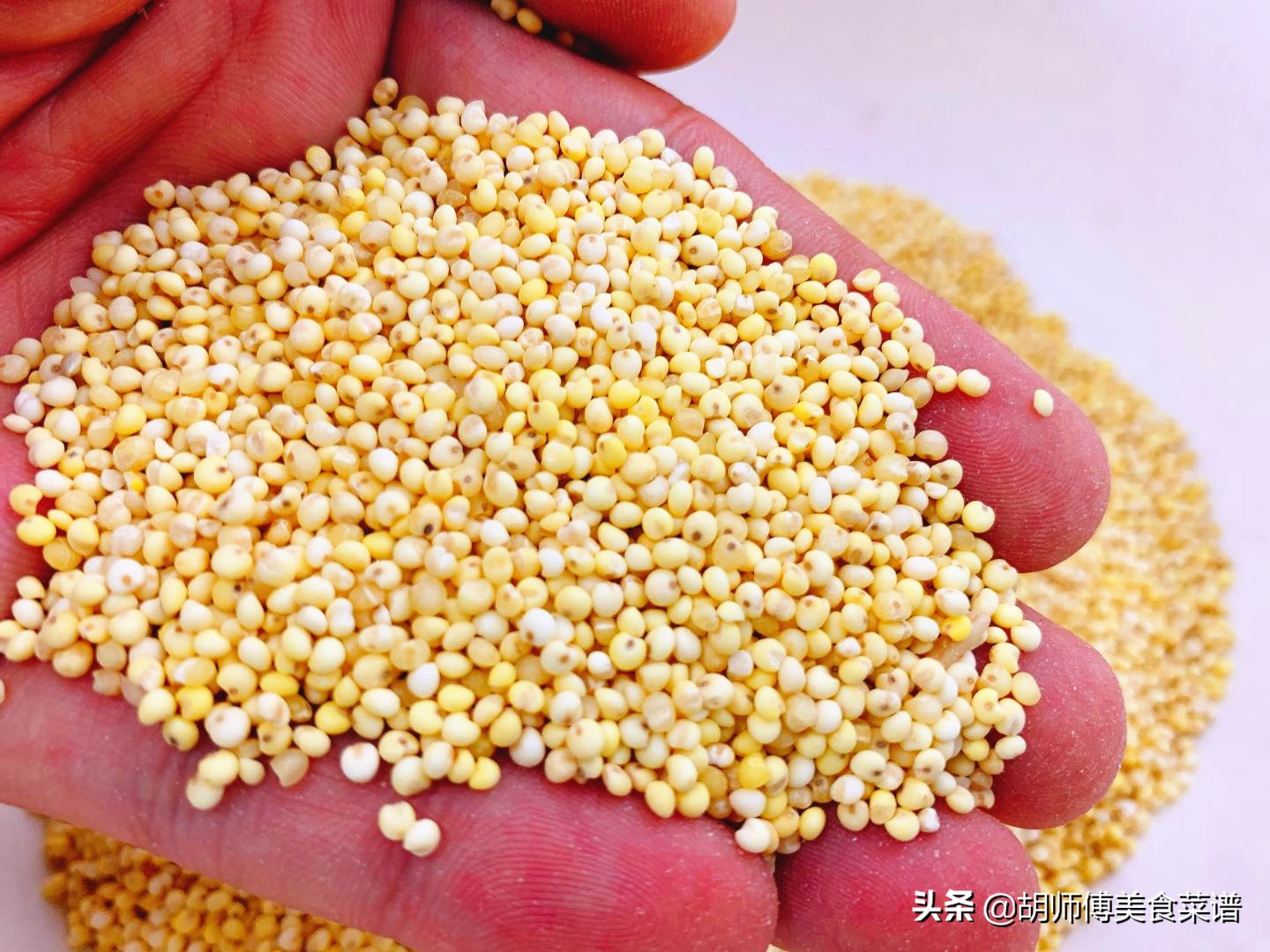 小米粥怎么熬不会返酸,小米粥怎样熬不长胖