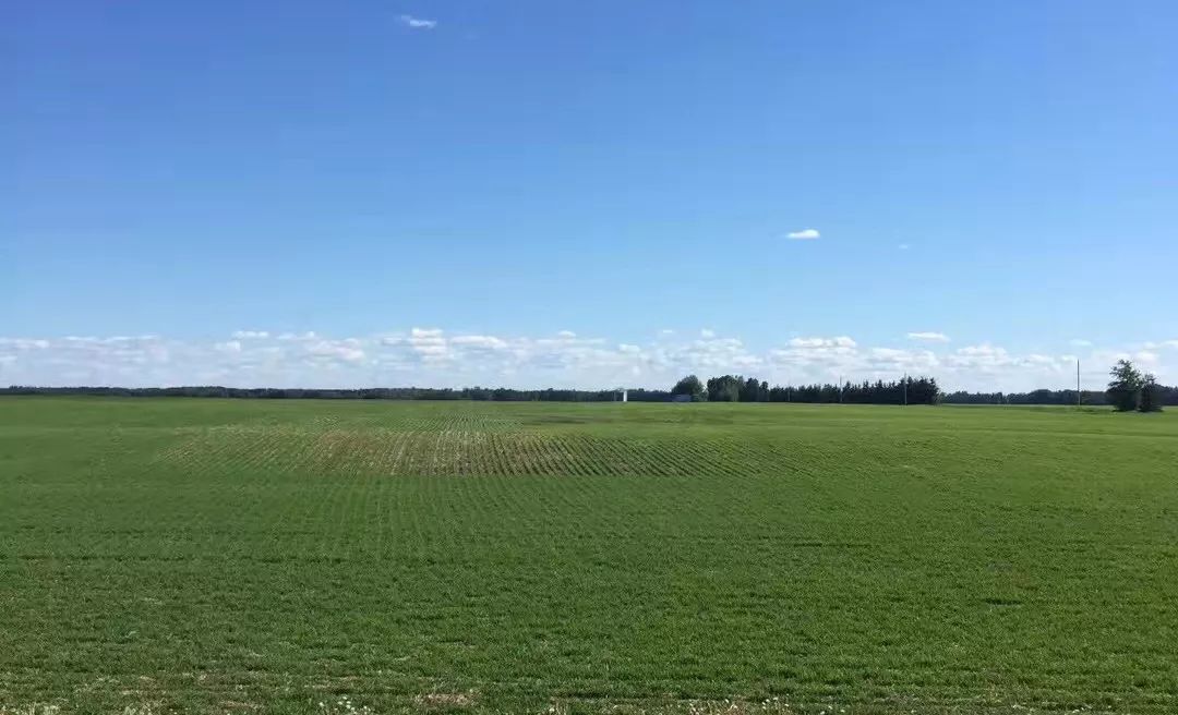 加拿大东部排名第一的学府——达尔豪斯大学