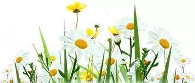 播音主持教你普通话,播音主持如何讲好试听课