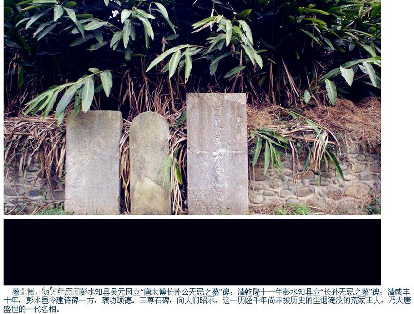 李治利用长孙无忌除掉兄弟,李治为什么杀亲舅舅