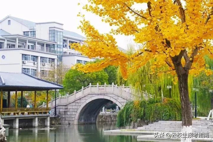 那些被误认为野鸡大学的高校,盘点那些有名无实的野鸡大学