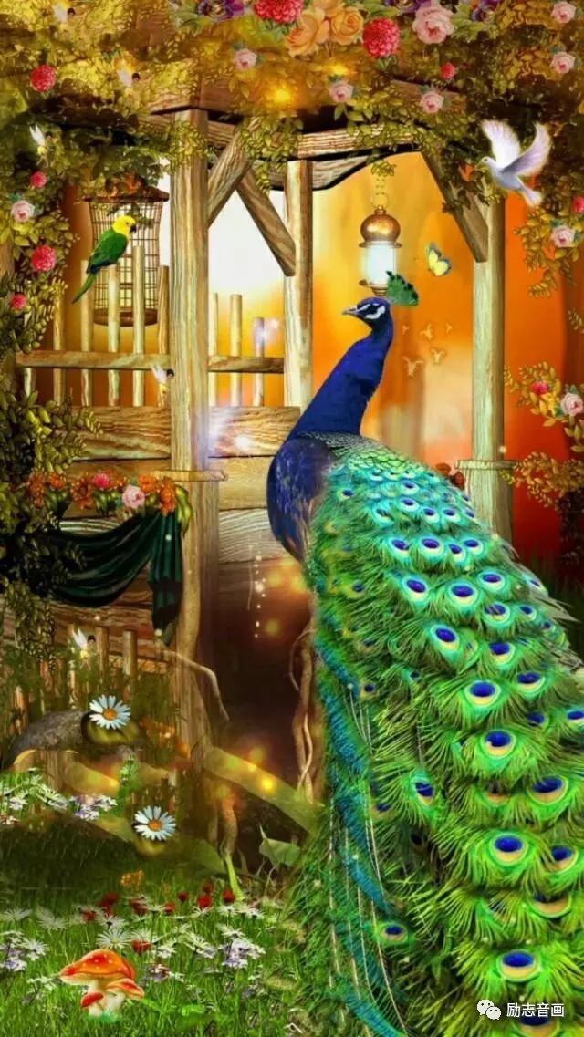 2020年绝美挂历送给你,天下第一福挂历2019年