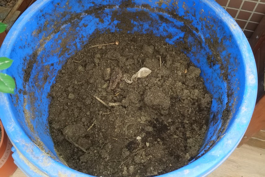 这才是楼顶花园该有的样子,楼顶花园如何出效果