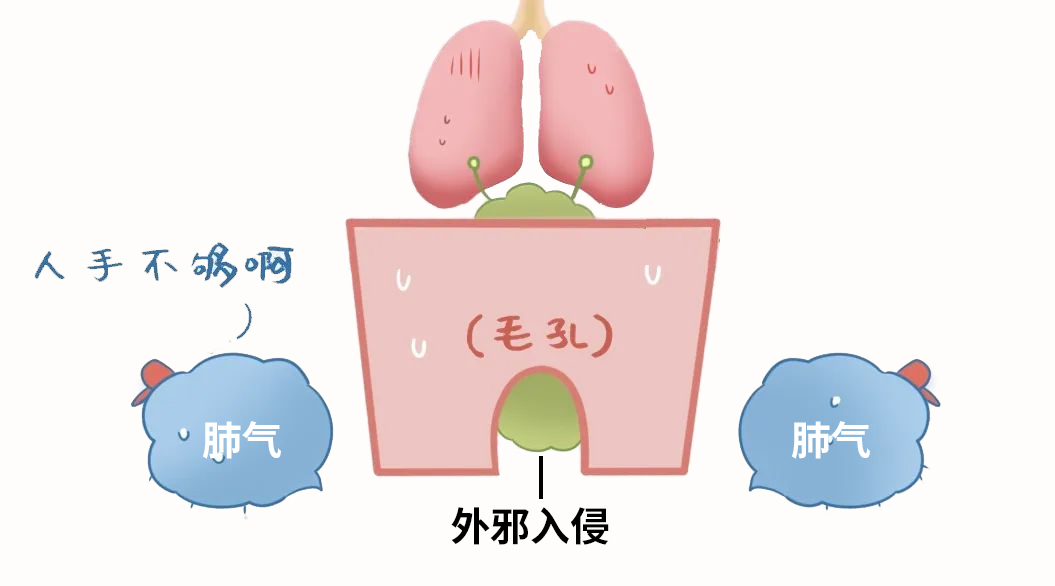寒性荨麻疹与什么脏腑有关,夏天引起荨麻疹的主要病因
