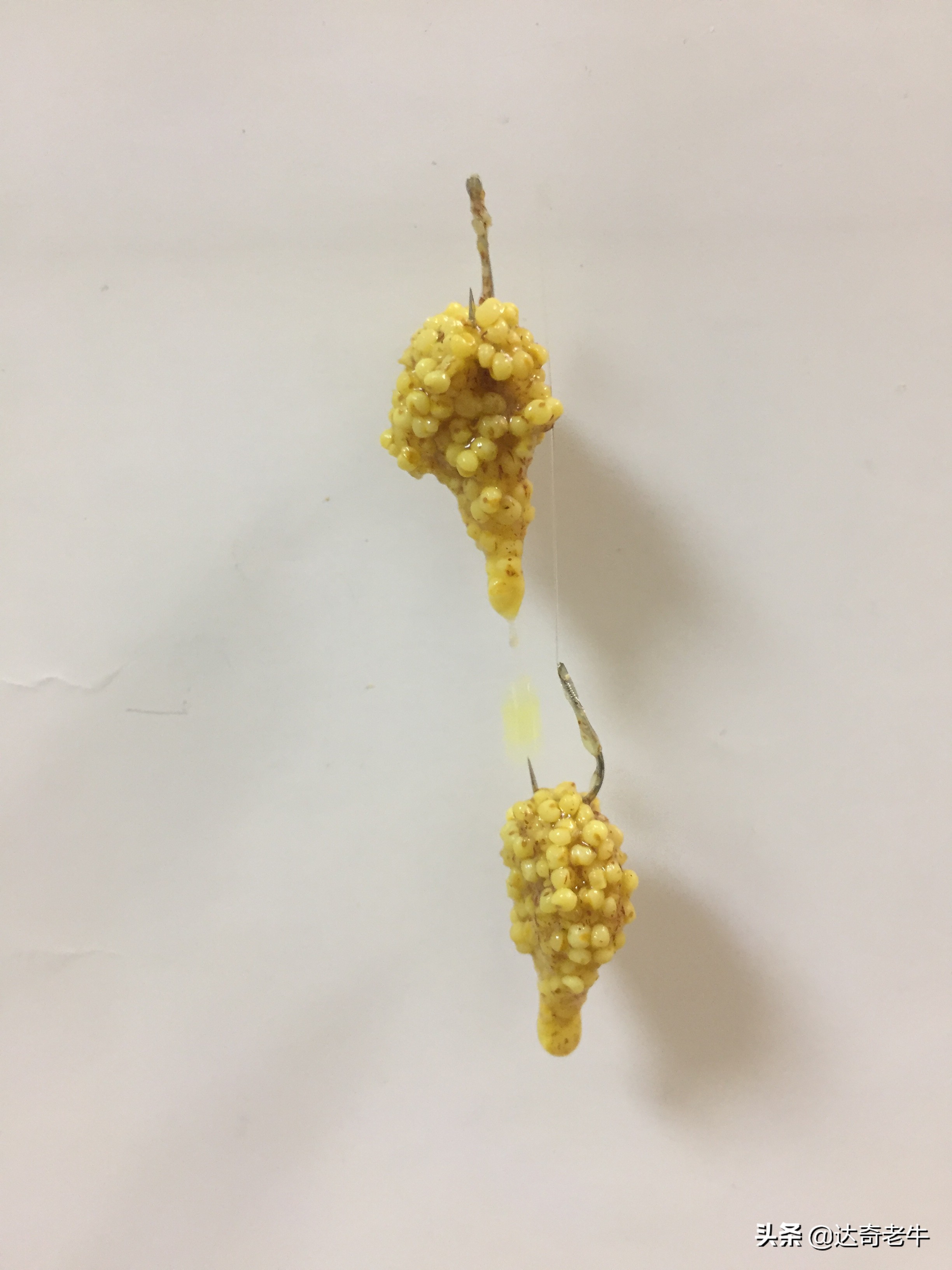 钓鱼饵料加小药真的有用吗,钓鱼料有危害吗