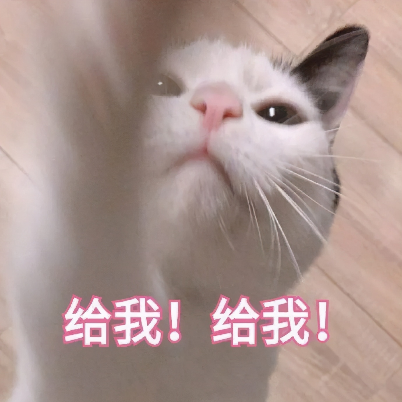 光子和超光子有什么区别,超光子比光子嫩肤贵吗