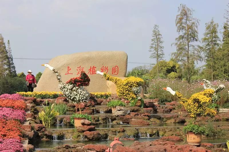 上海厉害了,厉害了上海