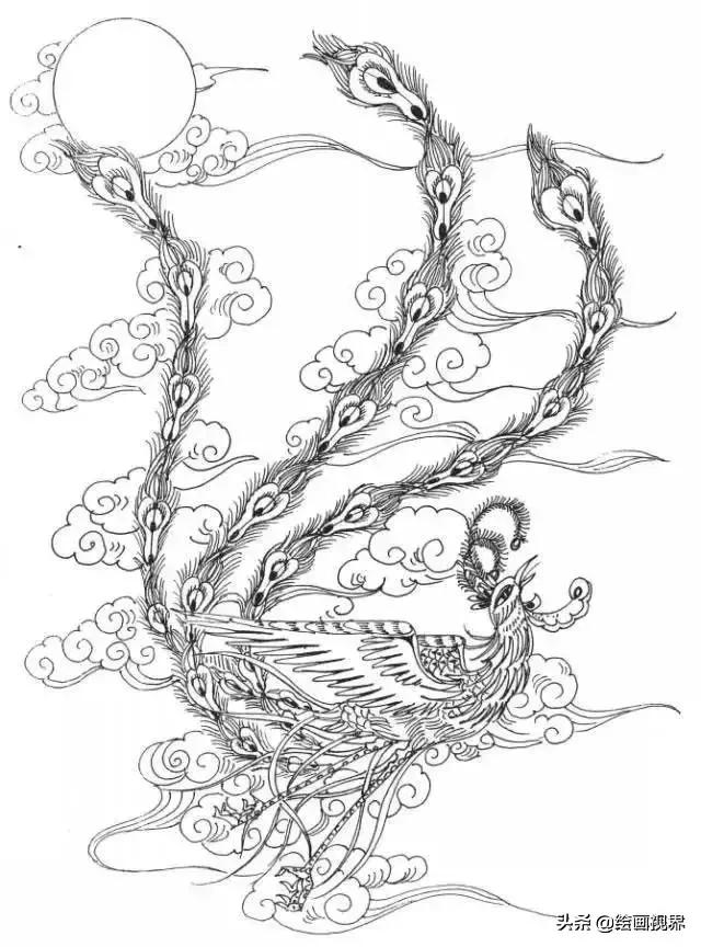 凤凰绘画中国风线稿,凤凰白描线稿特点