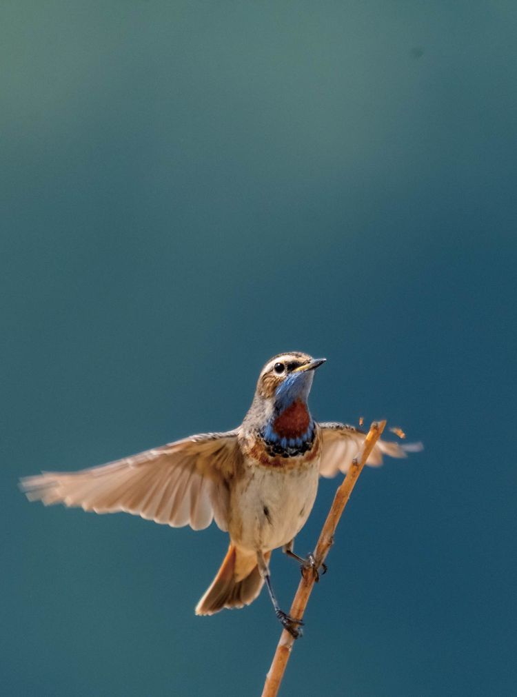 情人岛拍摄地点,情人岛航拍视频