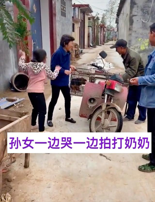 河南奶奶10元卖孙女养2年的狗,河南一奶奶10块卖狗奶奶后续