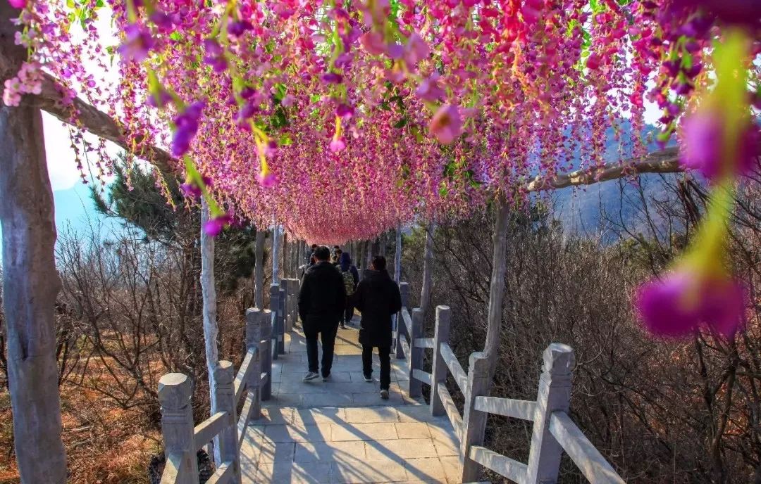 青龙峡自驾免费景点,青龙峡一日游自驾游攻略