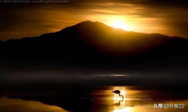 摄影阳光教程,摄影技巧阳光灿烂的日子