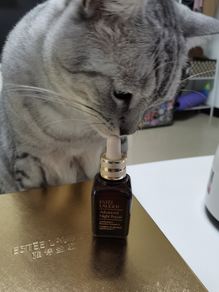 雅诗兰黛小棕瓶紧致精华,雅诗兰黛小棕瓶肌透修护眼部精华