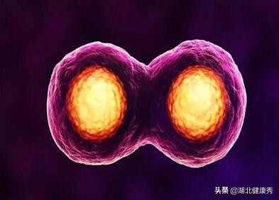 试管婴儿的成功率是怎么算的,试管婴儿成功率怎么算