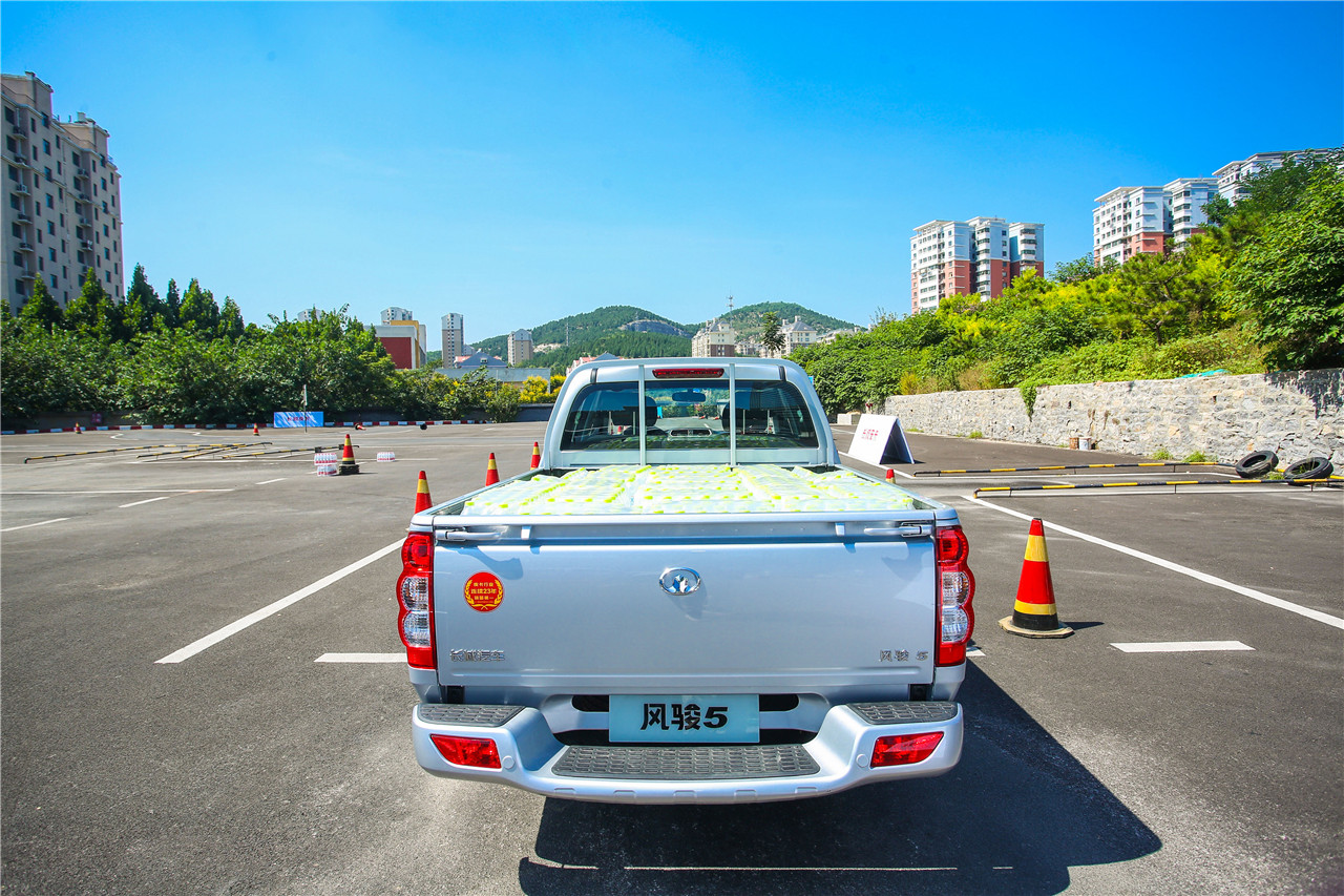 长城风骏5干饭版费油吗,风骏5干饭版拉货动力够吗