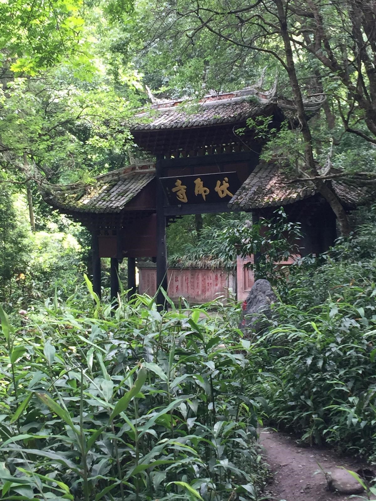 峨眉山登顶佛像,峨眉山登顶记完整版