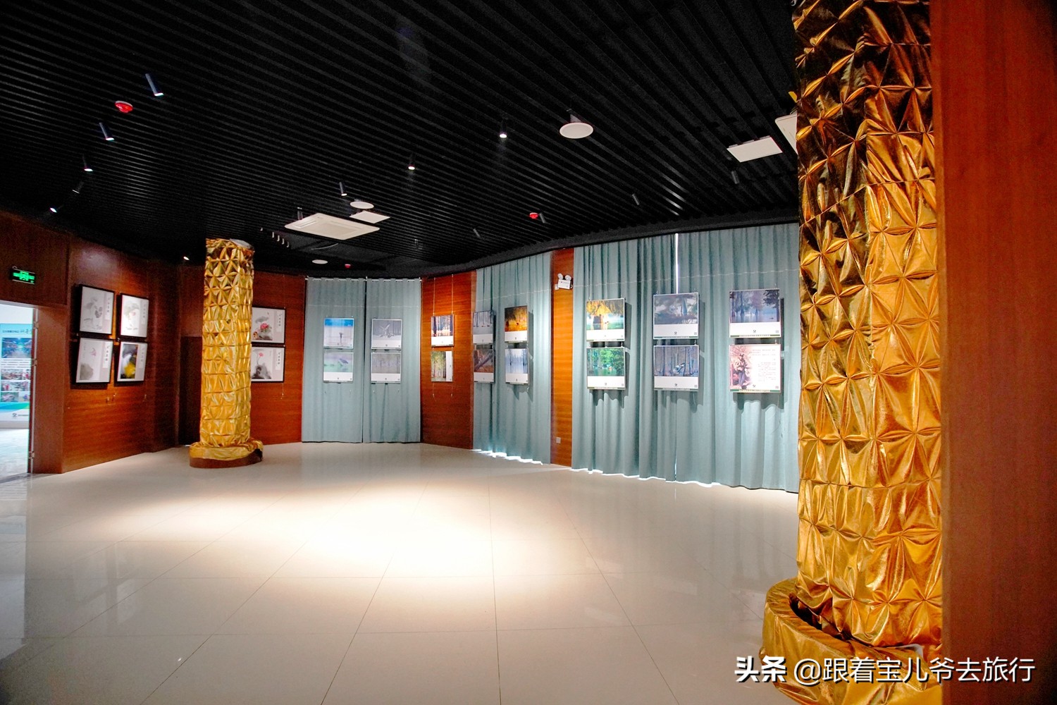 南京燕雀湖水杉林,南京秋天水杉林