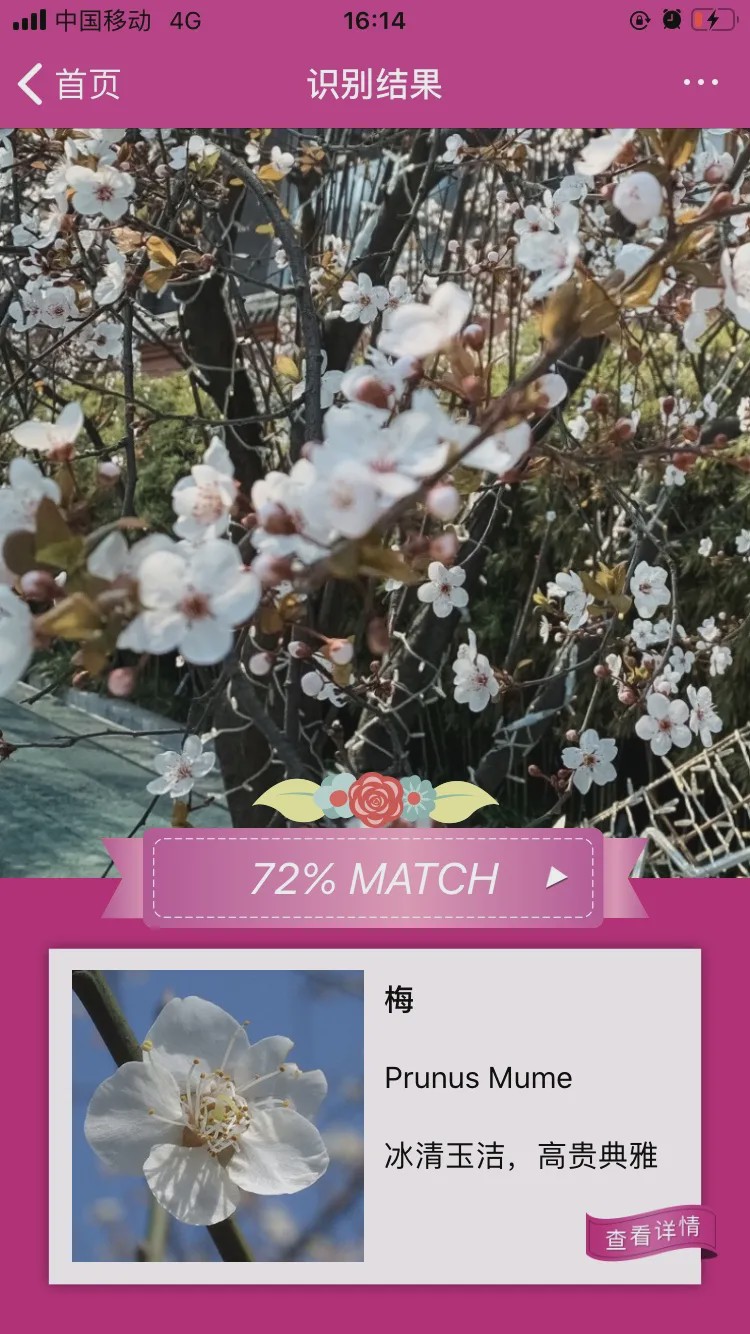哪个识花软件最好用,识花app免费的哪个好
