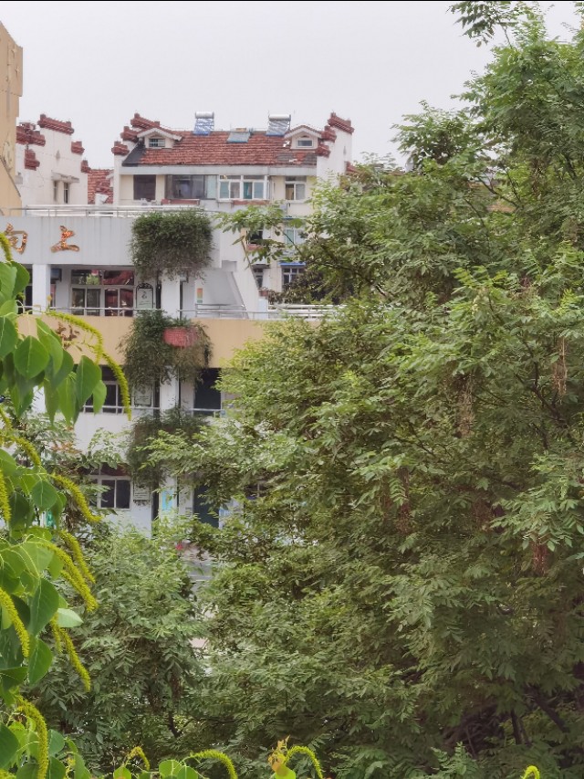 琥珀龙虾一条街价格,贵池路龙虾一条街