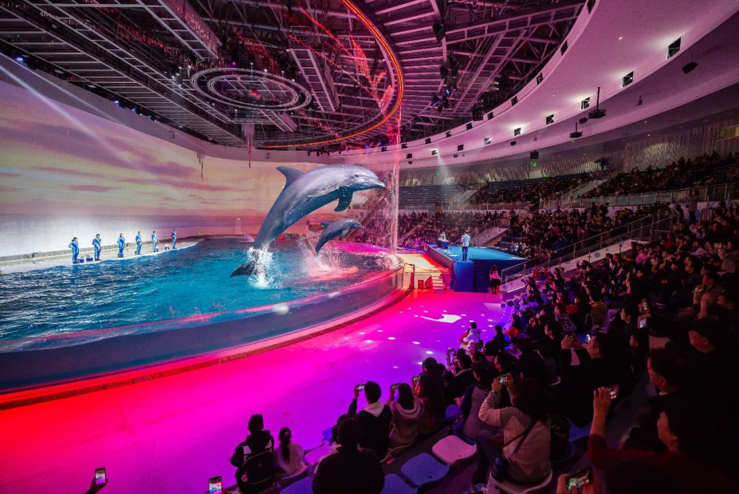 方特欢乐谷有什么好玩的项目,欢乐谷方特长隆兰州